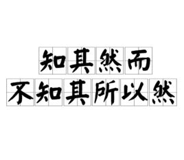 知其然而不知其所以然例子|知其然而不知其所以然